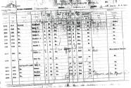 Muller Census