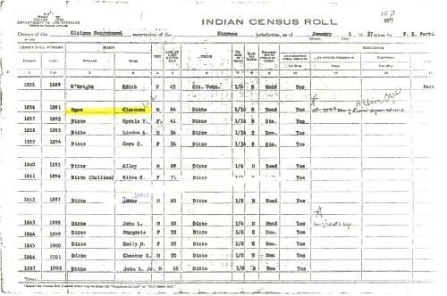 Ogee Census