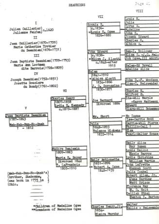 Ogee Genealogy