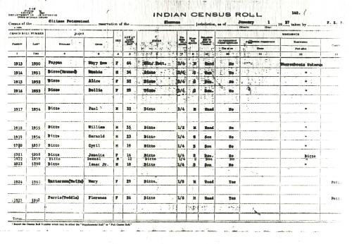 Pappan Census