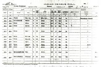 Pappan Census