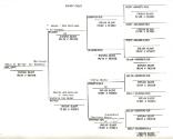 Pettifer Genealogy