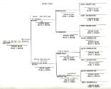 Pettifer Genealogy