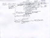 Acton Genealogy
