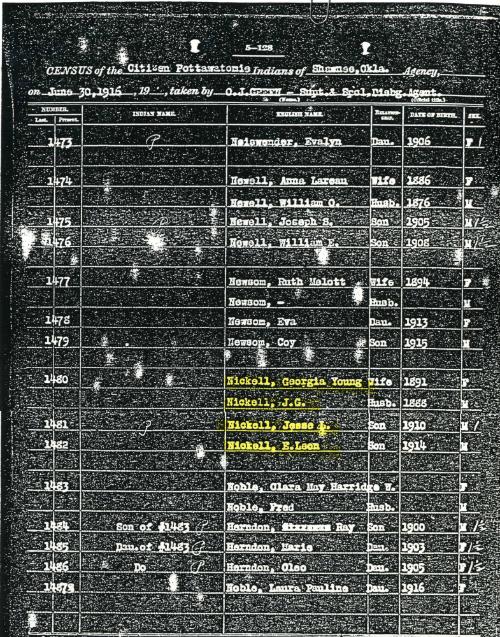 Young Census