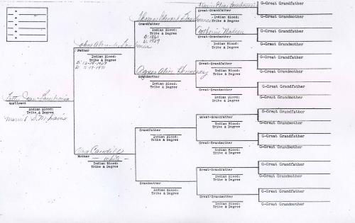 Bourbonnais Genealogy