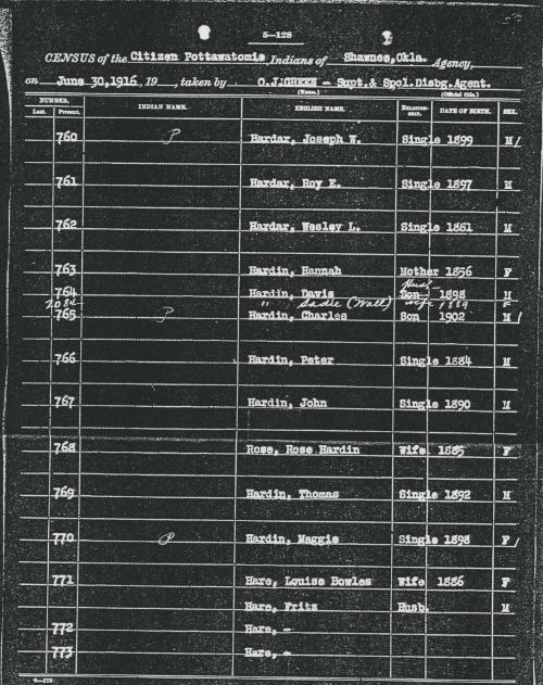 Hardin Census