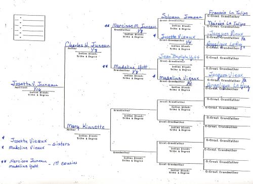 Juneau Genealogy