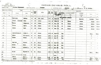 Levier Census