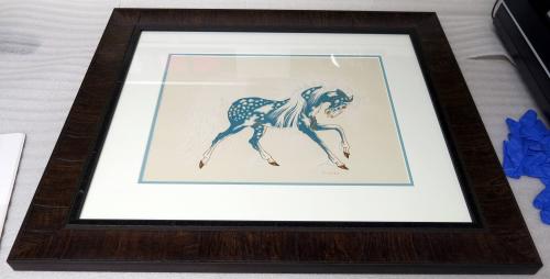 Dream Horse